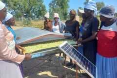 Anglican-Relief-Development-in-Zimbabwe-ARDeZ-38