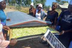 Anglican-Relief-Development-in-Zimbabwe-ARDeZ-39
