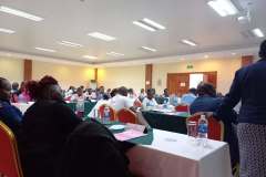 Anglican-Relief-Development-in-Zimbabwe-ARDeZ-45